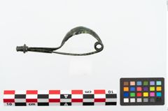Foto von Bronzekahnfibel (NHMW-PRAE-025147)